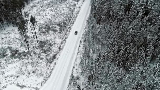 Повітряний Слідкуючий Постріл Автомобіля Їде Білій Сніговій Лісовій Доріжці Холодну — стокове відео