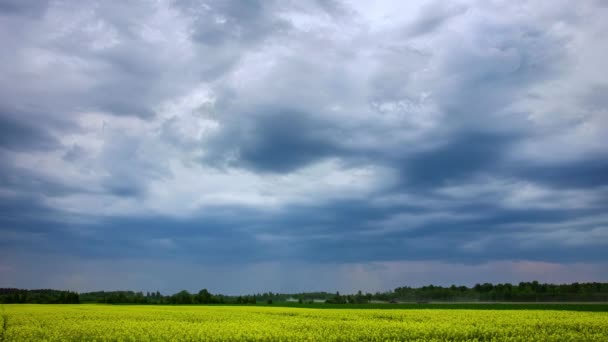 Tijdsverloop Van Grijze Stormwolken Boven Een Koolzaadveld Een Boerderij — Stockvideo