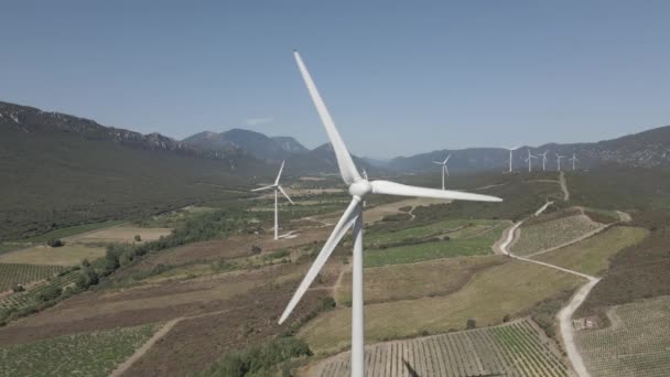 Turbiny Wiatrowe Zielonej Energii Dot Winnic Dolinie Pirenejów Francji — Wideo stockowe