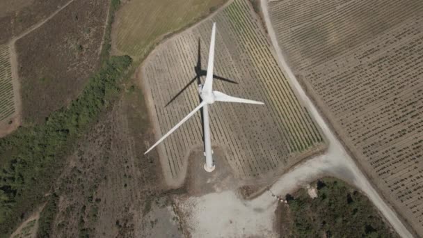 Vista Alto Ángulo Del Molino Viento Sombra Rodeada Viñedos Franceses — Vídeos de Stock