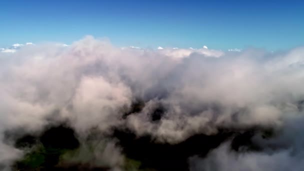 Amplia Conciencia Despierta Flotando Las Nubes — Vídeo de stock