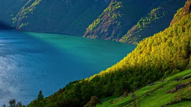 秋天里 在碧绿的群山间 挪威峡湾奔流奔流而过 时光流逝 — 图库视频影像