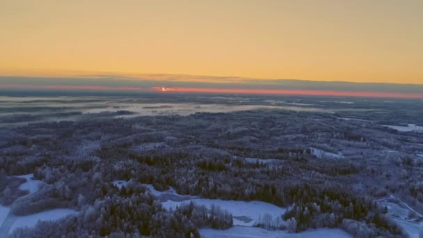 Letecký Pohled Východ Slunce Nad Zasněženým Smrkovým Lesem Poli — Stock video