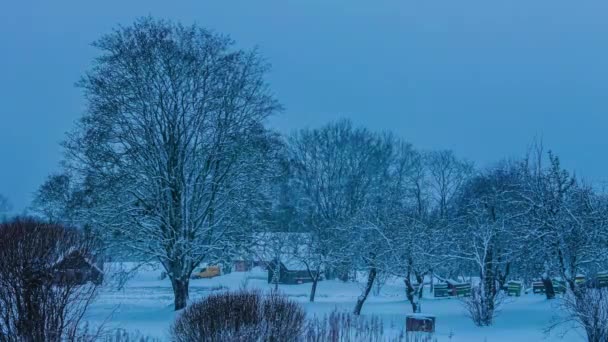 午前中の曇りの日の出の間に葉のない木と庭で吹雪の時間経過ショット — ストック動画