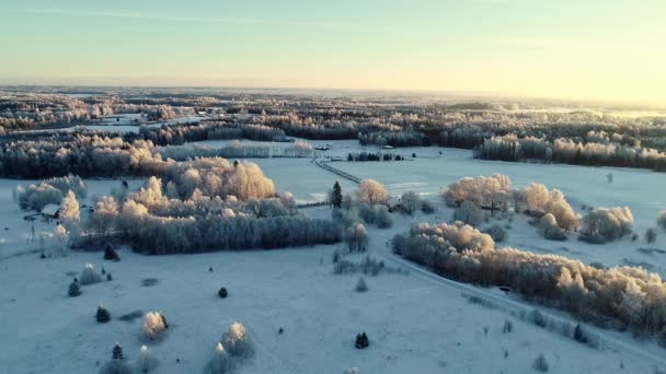 Dron Letící Nad Zasněženými Poli Stromy Při Západu Slunce Lotyšsku — Stock video