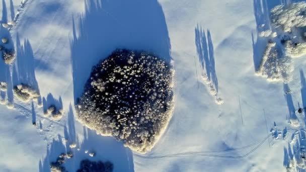 Kawałek Drzew Razem Białym Śniegu Późnym Popołudniem Cienie Dron — Wideo stockowe
