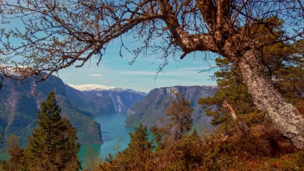 Panoramica Geirangerfjord Panoramico Tra Montagne Con Cascate Norvegia Una Bella — Video Stock