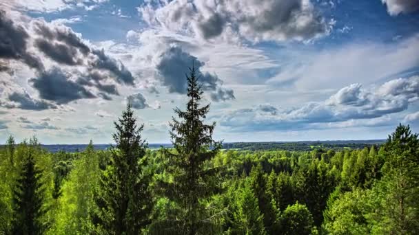 Снимок Статического Времени Захватывающего Зеленого Леса Белыми Облаками Проходящими Мимо — стоковое видео