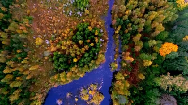 Vista Panorâmica Pequeno Lago Rodeado Por Uma Floresta Outonal Colorida — Vídeo de Stock