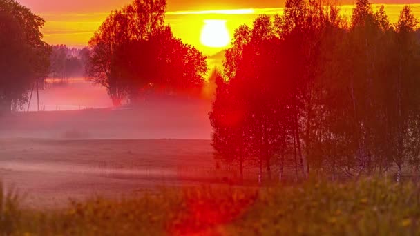 Lapso Tiempo Puesta Sol Vívida Con Cielo Ardiente Través Los — Vídeos de Stock