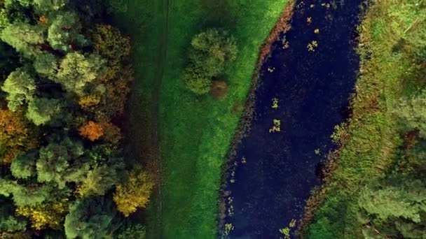 Légköri Forgó Áttekintése Egy Keskeny Folyó Áthaladó Buja Zöld Erdő — Stock videók