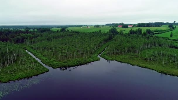 在多云的天气里 在乡间 一条狭窄的河流在空中前进 汇入绿树成荫的湖中 — 图库视频影像
