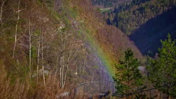 森の風景の中で動く虹で山の景色を楽しむ人のタイムラプスショット — ストック動画