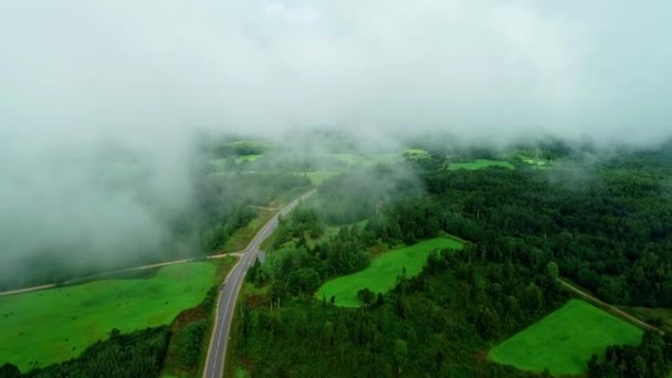 Kırsal Bölgedeki Kırsal Yol Orman Ağaçları Üzerindeki Yoğun Bulutlar Sisli — Stok video