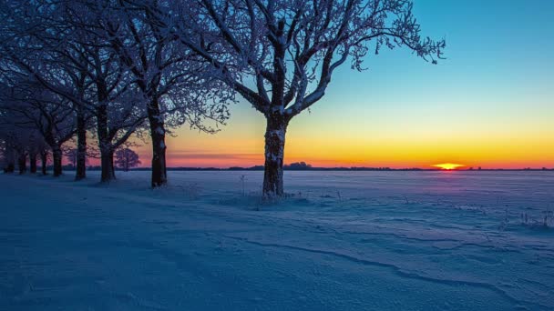 針葉樹の中で寒い冬の朝に美しい日の出 雪に覆われた風景の上にタイムラプスの日の出 — ストック動画