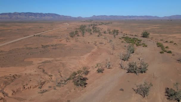 Flyover Άνυδρο Έδαφος Αυστραλιανό Outback Flinders Ranges Park Τοπίο — Αρχείο Βίντεο