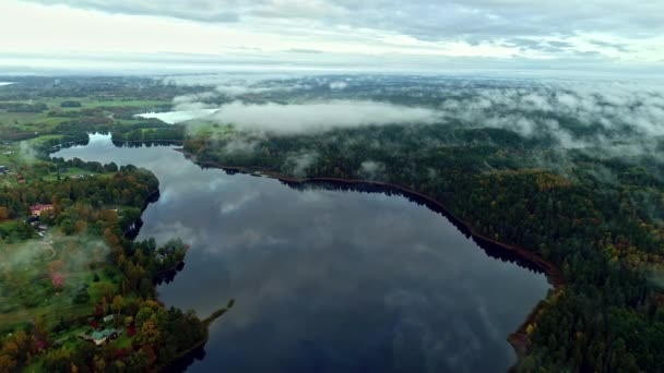 Beautiful Panoramic View Low Fog Hanging Woods Next Lake Aerial — Stock Video