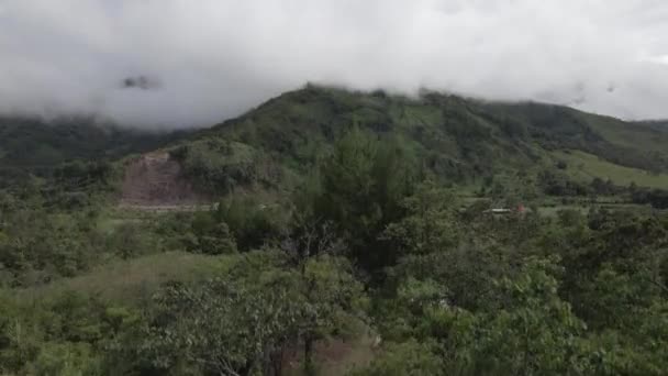Élévation Aérienne Dessus Forêt Pour Voir Montagne Nuageuse Travers Fond — Video