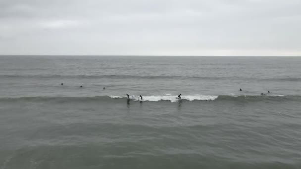 Surfisti Muta Catturano Una Piccola Onda Grigia Giorno Nuvoloso Piatto — Video Stock