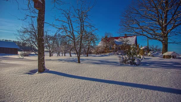 Vackert Vinterlandskap Med Lövlösa Träd Mot Blå Himmel Och Rörligt — Stockvideo