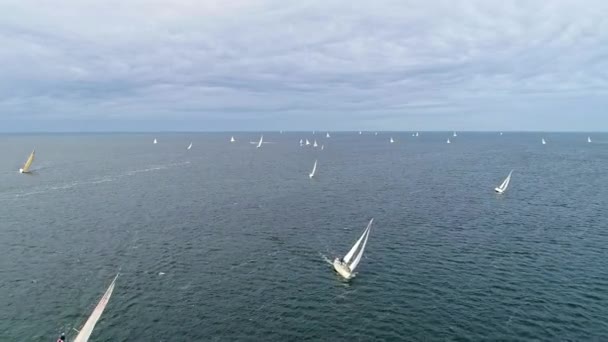レガッタ選手権レース中のセーリングボートと空中飛行海 — ストック動画