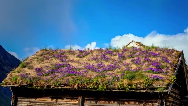 Typisch Grasdak Traditioneel Noors Houten Huisje Verval Bewolking — Stockvideo