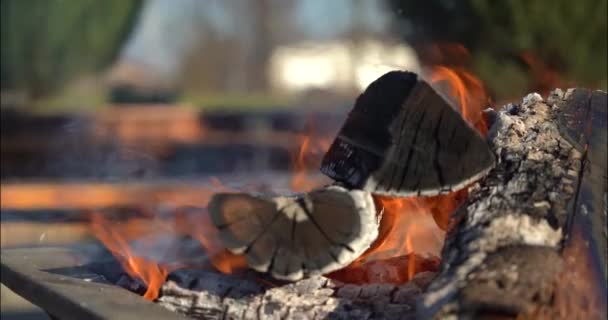 安大略省渥太华 Bean镇农场 的一个婚礼场地上 一个铁火坑中的美丽的火苗 — 图库视频影像