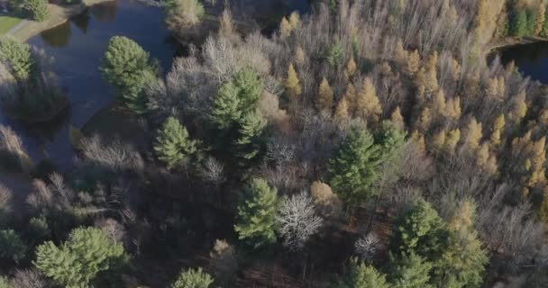 Drone Aerial Clip Reveal Forest Beautiful Acreage Property Large Pond — Stock Video