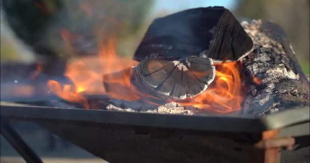Ottawa Ontario Bir Düğün Yerinde Demir Ateş Çukurunda Güzel Bir — Stok video