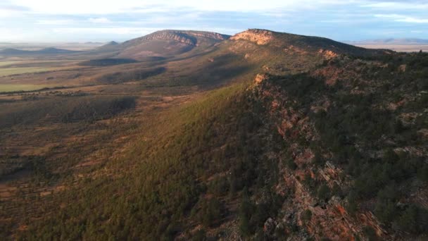 Üstgeçit Jarvis Tepesi Ilk Işıklarda Gözcülük Yapıyor Hawker Wilderness — Stok video