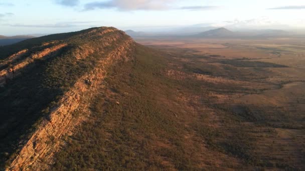 Pandangan Udara Jarvis Hill Melihat Pemandangan Megah Hutan Hill Sunrise — Stok Video