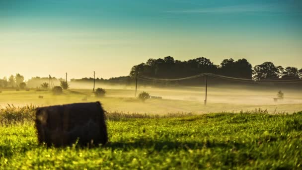 Освітлений Ранковий Пейзаж Коли Туман Рухається Під Лініями Електропередач Проміжок — стокове відео