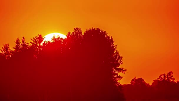 Prise Vue Téléobjectif Soleil Jaune Dans Ciel Orange Qui Couche — Video