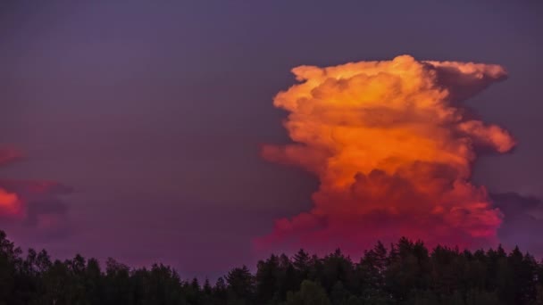 Nuvole Che Formano Diverse Forme Timelapse Durante Tramonto Sulla Verde — Video Stock