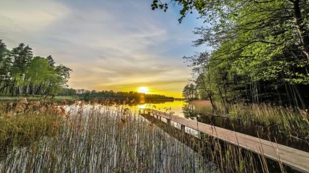 湖の上に日没の時間経過で密な緑の植生に囲まれています 夕方の穏やかな湖の水の中に反映空 — ストック動画