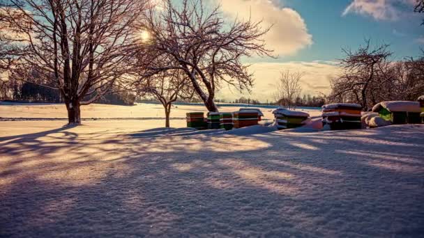 Shades First Time Sunlight Melting Snow Timelapse — Stockvideo