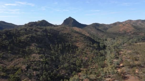 フライオーバーウィロークリーク渓谷 山のピーク 自然景観に向けて フリンダー山脈 オーストラリア — ストック動画