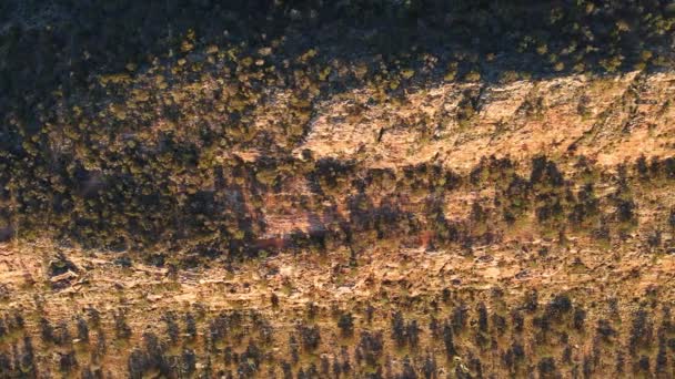 Κάτοψη Κατά Μήκος Του Λόφου Jarvis Τοπίο Βραχώδης Δασώδης Γκρεμός — Αρχείο Βίντεο