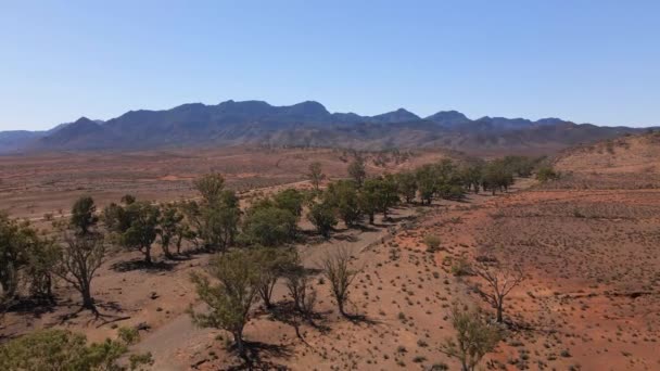 Moralana Scenic Drive Blick Von Oben Feldweg Südaustralischen Outback Luftaufnahme — Stockvideo