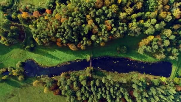 Bird Eye View Van Smalle Kronkelende Meer Omgeven Door Groene — Stockvideo