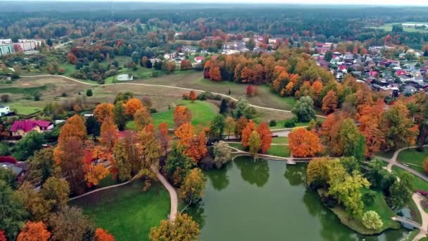 Flygöverflygning Csis Slott Med Sjö Och Färgglada Träd Lettland Hösten — Stockvideo