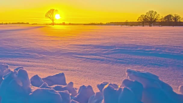 Schilderachtig Winterlandschap Met Bladloze Laan Gouden Zonsondergang Achtergrond Zonlicht Reflecterend — Stockvideo