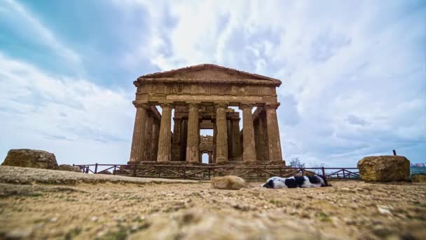 Ángulo Loa Plano Templo Concordia Valle Templo Agrigento Italia Con — Vídeos de Stock