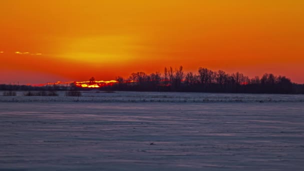 겨울에는 눈밭을 시간에 지평선 떠오르는 태양의 — 비디오