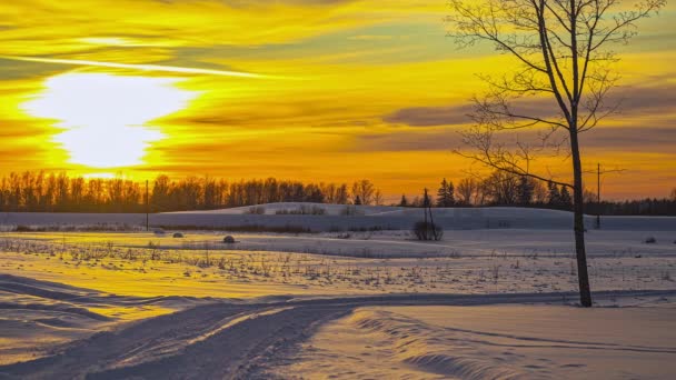 Gouden Uur Zonsondergang Smeltende Winter Extreme Sneeuw Timelapse Landschap — Stockvideo