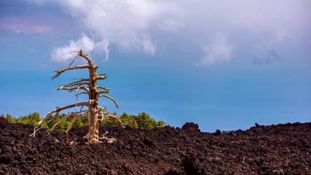 Vista Statica Sul Terreno Marrone Scuro Del Cratere Sud Orientale — Video Stock