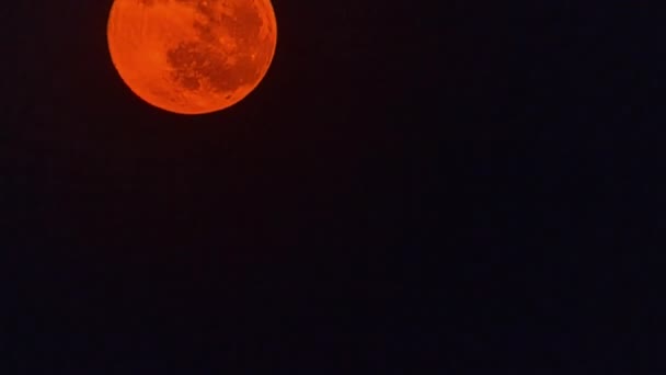 Vista Vicino Della Luna Piena Rossa Nel Timelapse Nel Buio — Video Stock