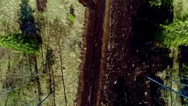 자연의 항공의 뿌리에 토양을 혼합하는 — 비디오
