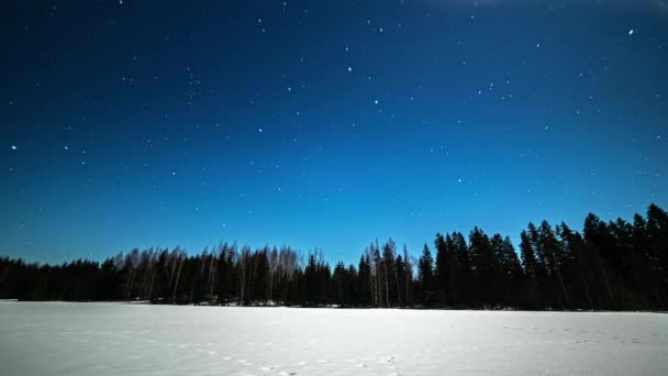 漫漫长夜的雪花覆盖着白地和冷杉林 覆盖着背景中的星星 日落时的树阴 — 图库视频影像