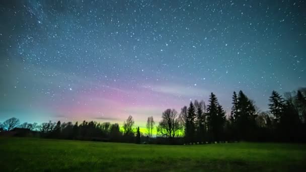 Bunte Polarlichter Sternenhimmel Mit Silhouettierten Bäumen Wald Niedriger Winkel — Stockvideo